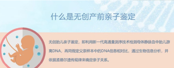 内蒙古区胎儿亲子鉴定需要如何做,内蒙古区产前亲子鉴定结果需要多久