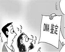 内蒙古区司法DNA亲子鉴定收费多少钱，内蒙古区正规的司法DNA鉴定机构